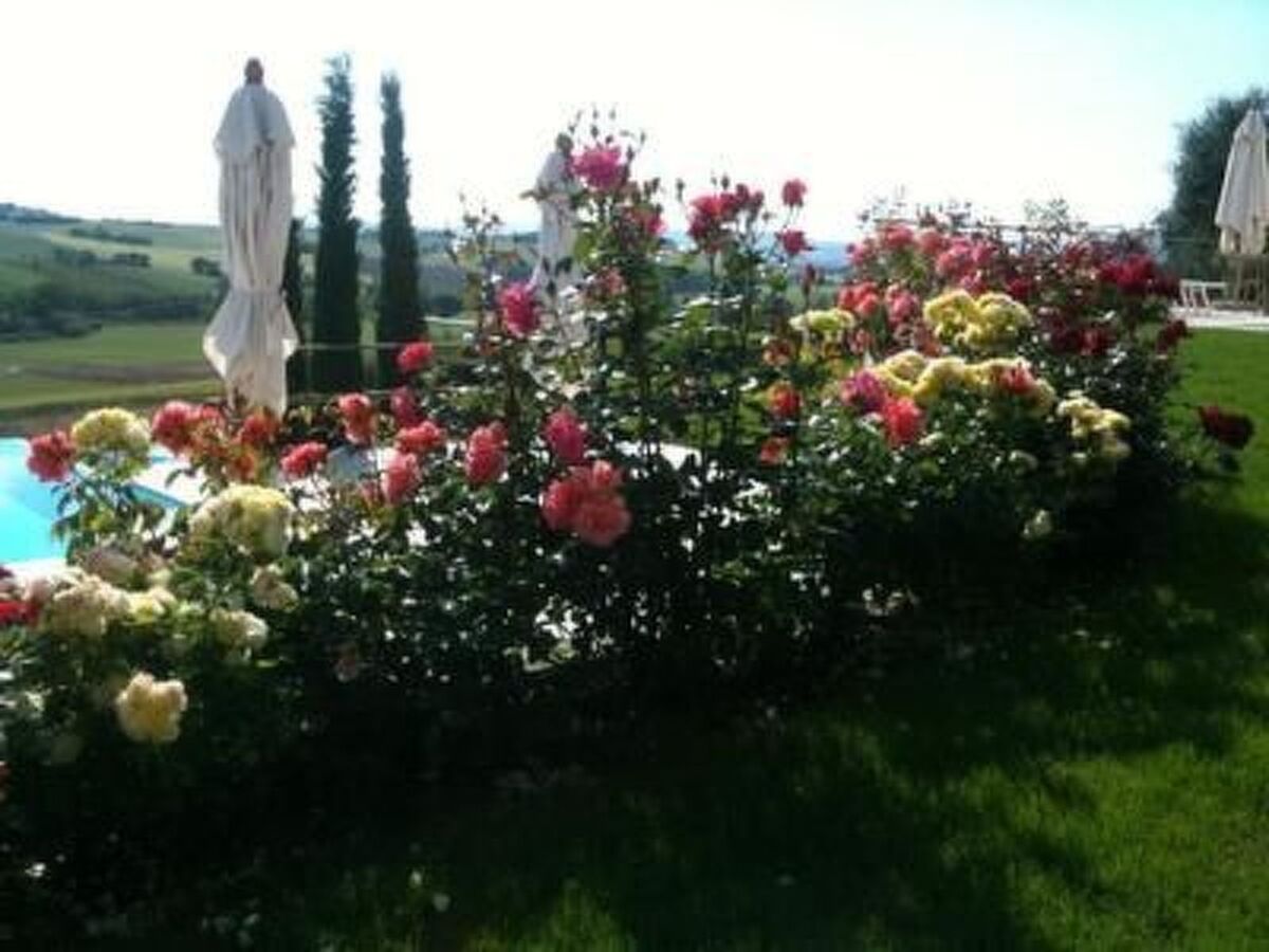 Casa Fuoco - Appartement 4 pers. Monte San Vito - Photo 5