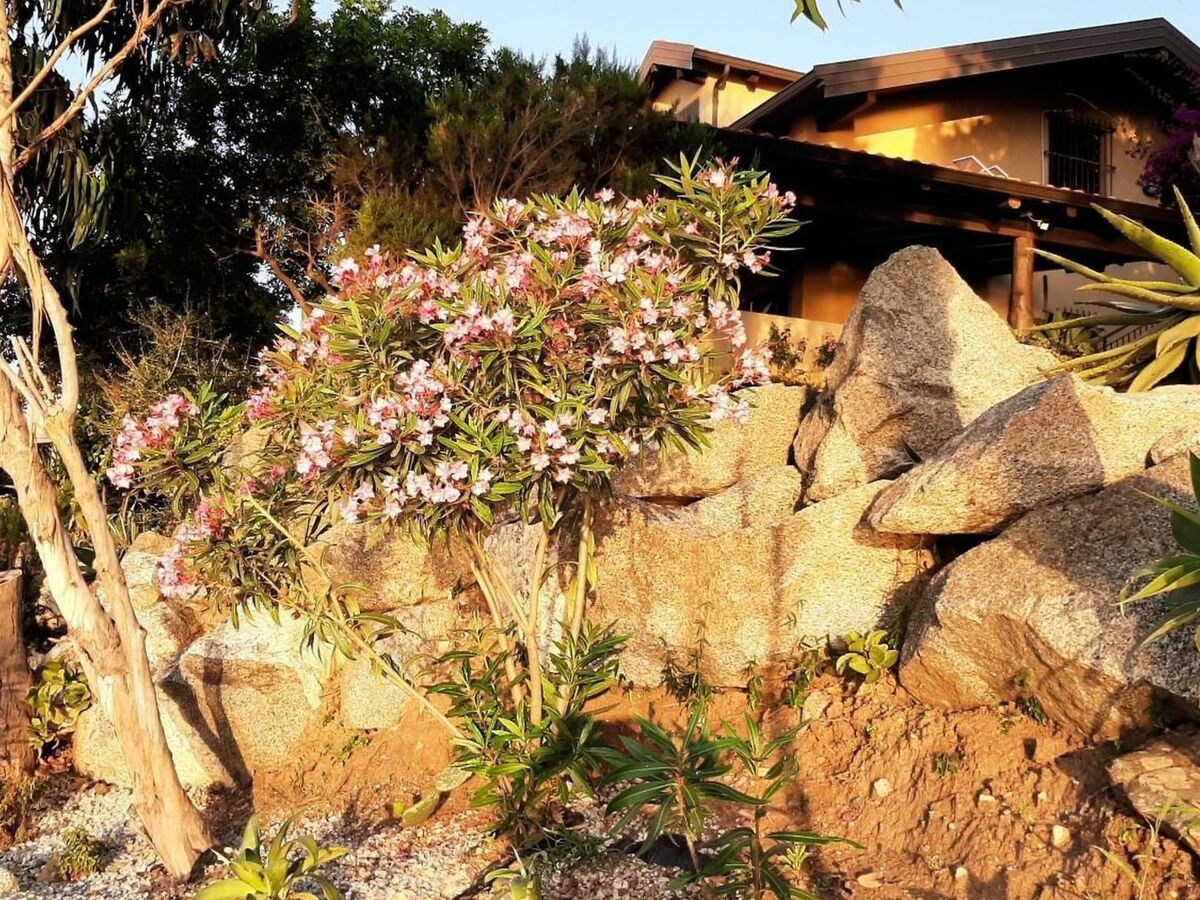 Appartement 6 pers. à Zambrone avec jardin clos et plage à 1,5 km - Photo 14