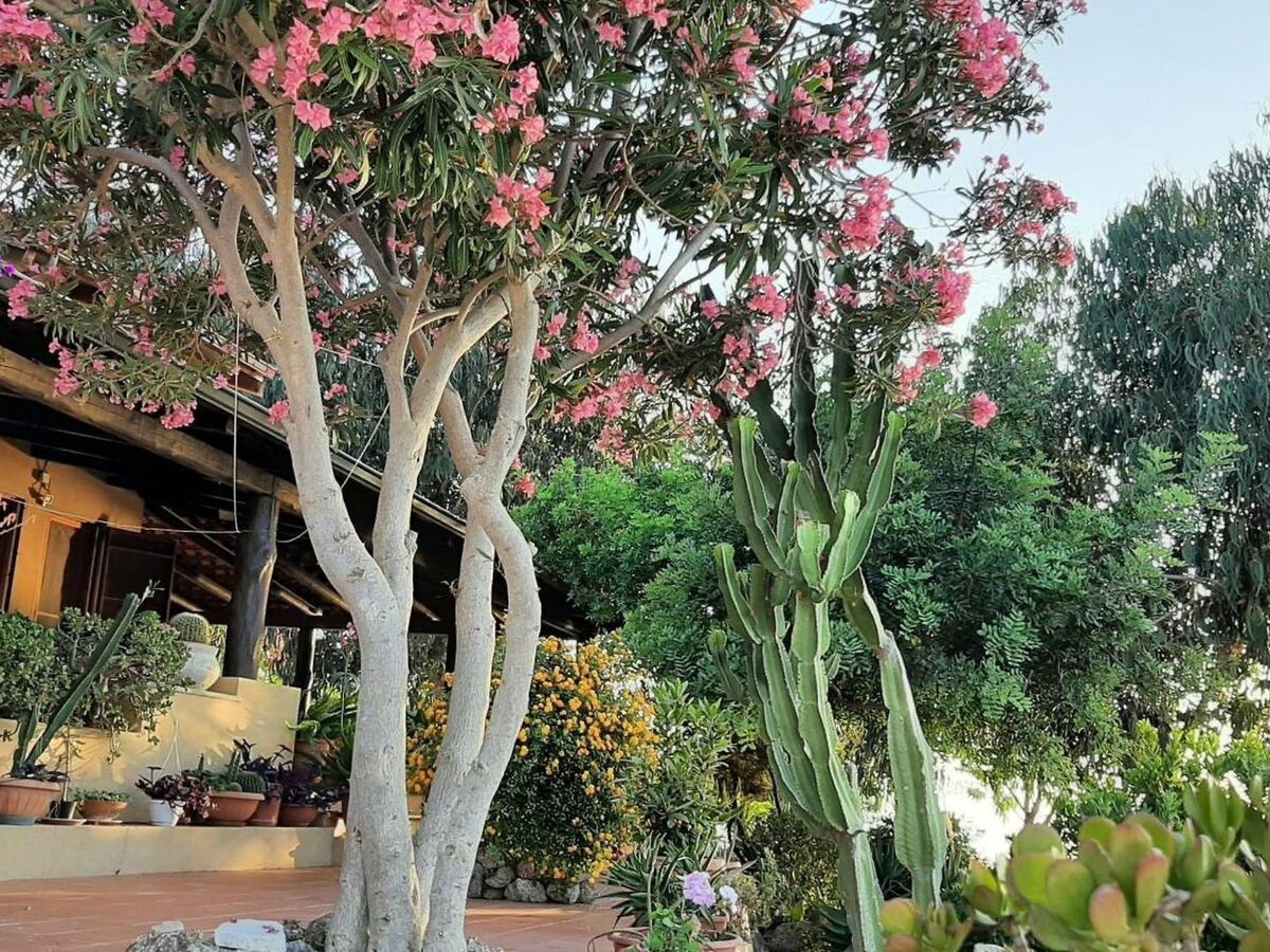 Appartement 6 pers. à Zambrone avec jardin clos et plage à 1,5 km - Photo 18