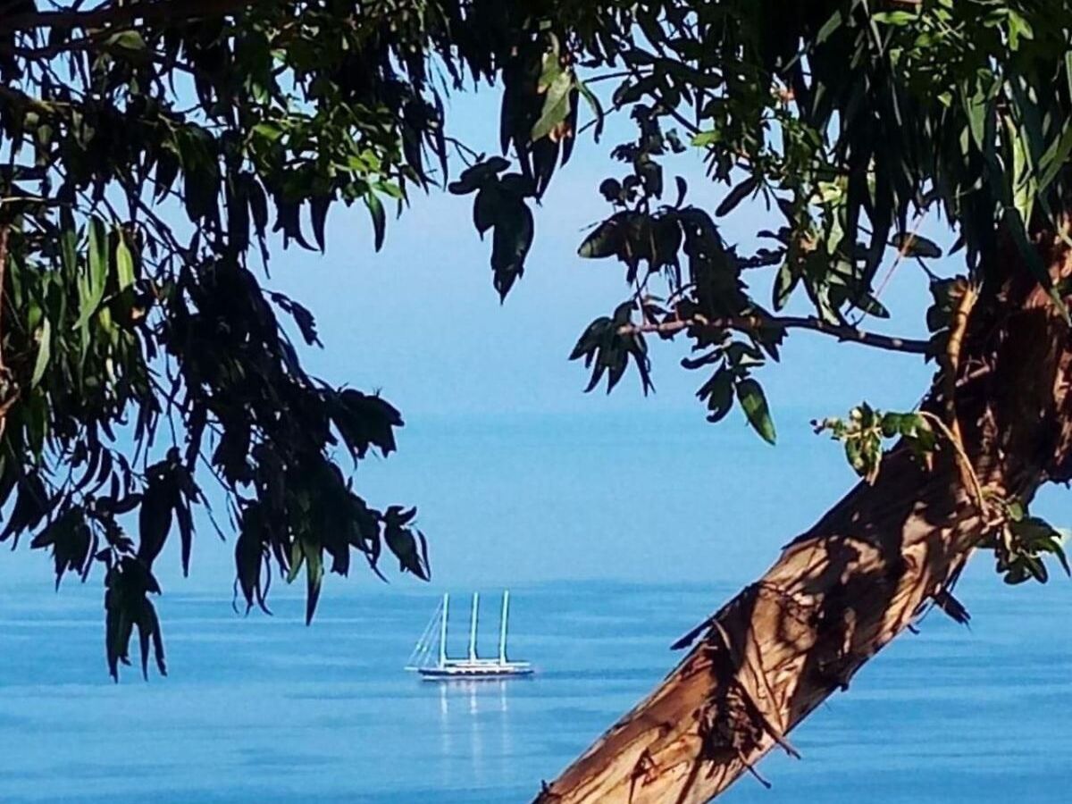 Appartement 6 pers. à Zambrone avec jardin clos et plage à 1,5 km - Photo 40