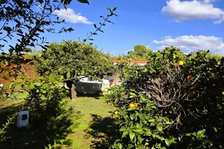 Casita Cartama, Casita avec grand jardin privé et jacuzzi - Photo 8