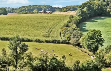 Ferme du 19e siècle restaurée à Saint-Germer-de-Fly : photo 18