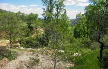 Maison 2 personnes à LAROYA - Photo 29
