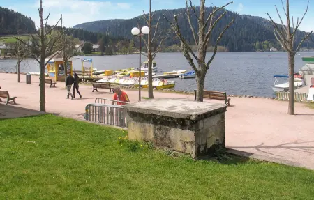 Appartement vue lac à Gérardmer, 31 m² tout équipé : photo 19