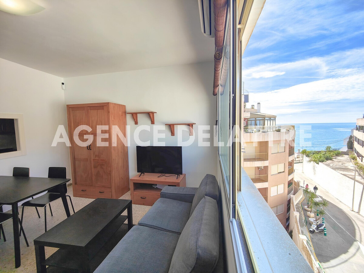 Penthouse 1 chambre climatisé à 150m de la plage - Photo 2