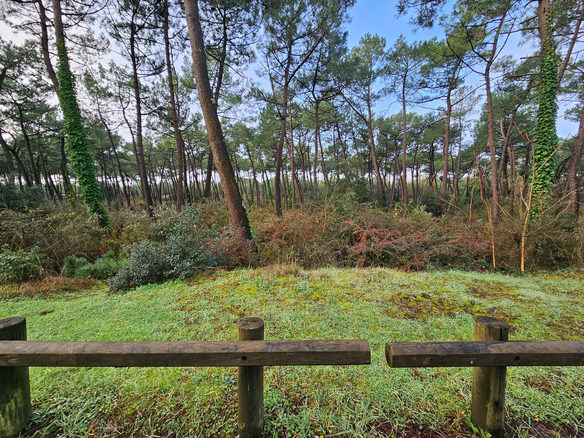 Villa neuve 6 pers. à La Faute-sur-Mer, 100 m plage - Photo 27