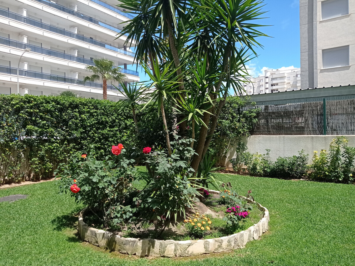 Appartement 4 personnes à Gandía, 380m de la plage - Photo 33