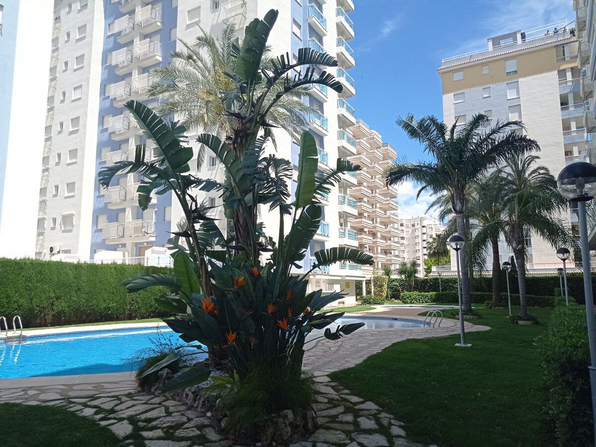 Appartement 4 personnes à Gandía, 380m de la plage - Photo 34