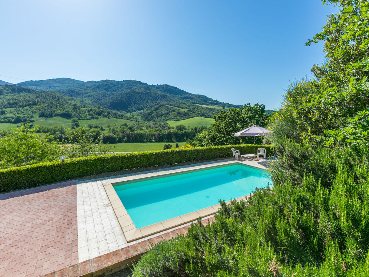 Nido di Falco – Maison 4 pers. avec piscine à La Sassa - Photo 1