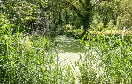 Maison rustique 63 m² avec parc 15 000 m² à Mur-de-Sologne : photo 9