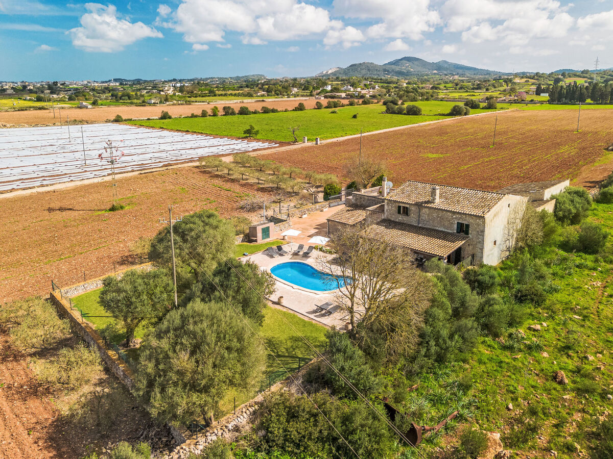Villa La Perla de Son Peroti - 8 pers., piscine - Photo 32