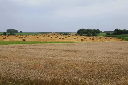 Maison avec jardin et cheminée à Labergement-lès-Seurre, 8 pers. : photo 46