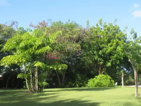 Villa avec Piscine Privée à Saint-François, Villa 6 personnes à Saint François - Photo 51