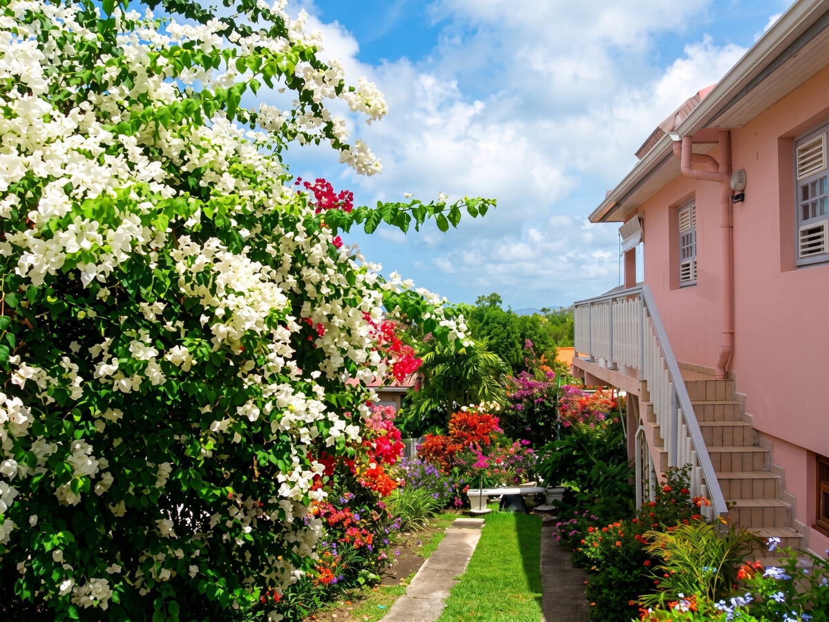 Appartement 30m² avec jardin et parking à Sainte Anne - Photo 2
