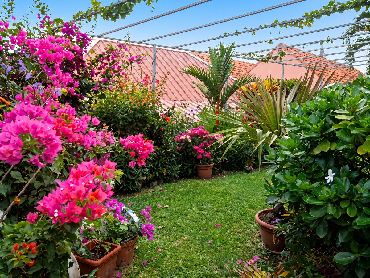 Appartement 30m² avec jardin et parking à Sainte Anne - Photo 10