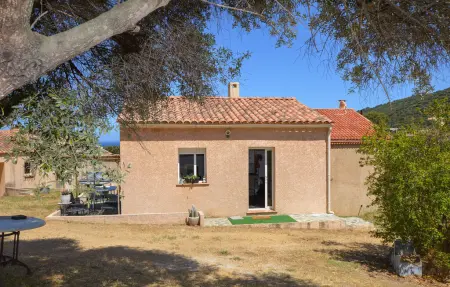 Maison 3 chambres Corbara, vue mer et jardin 500m² : photo 10
