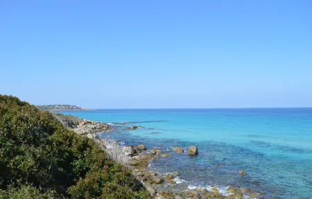Maison 3 chambres Corbara, vue mer et jardin 500m² : photo 22
