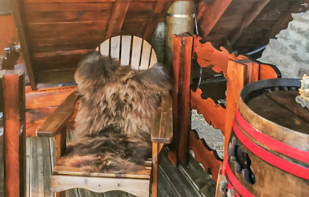 La Tanière, studio avec balcon face aux pâturages - Photo 10