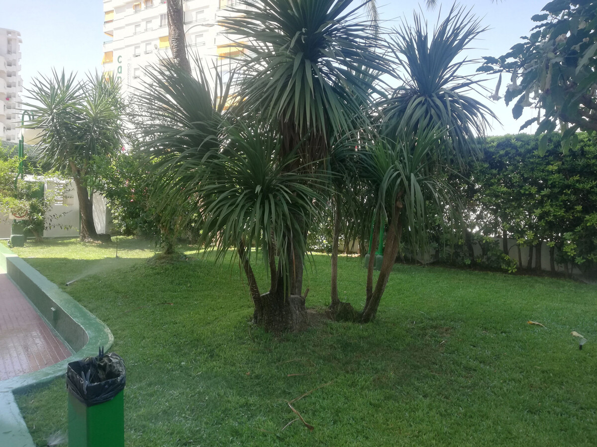 Appartement 3 chambres à 200m de la plage de Gandia - Photo 27