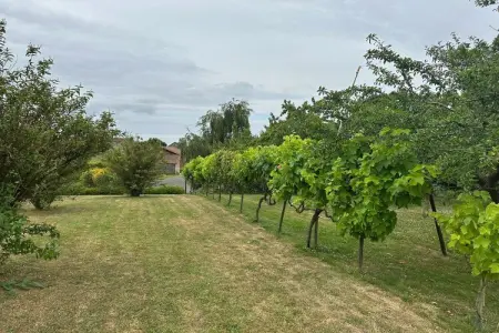 Le Petit Châtelier, maison 8 personnes sur Loire : photo 29