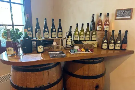 Le Petit Châtelier, maison 8 personnes sur Loire : photo 33