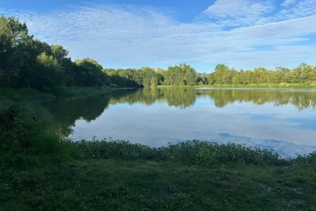 Le Petit Châtelier, maison 8 personnes sur Loire : photo 34