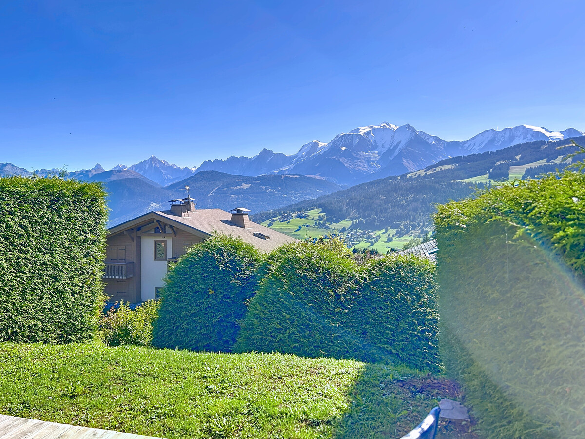 Appartement 2 pièces vue Mont Blanc, Combloux - Photo 8