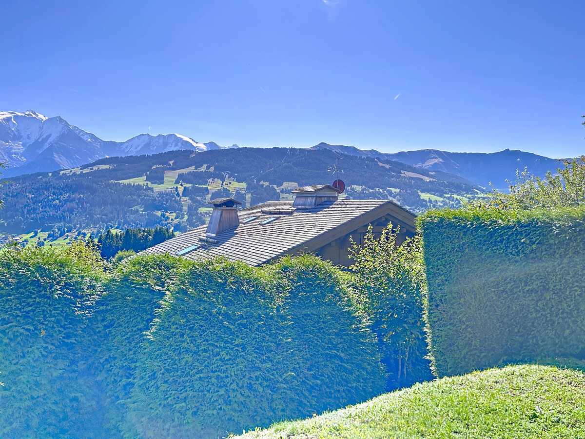 Appartement 2 pièces vue Mont Blanc, Combloux - Photo 9