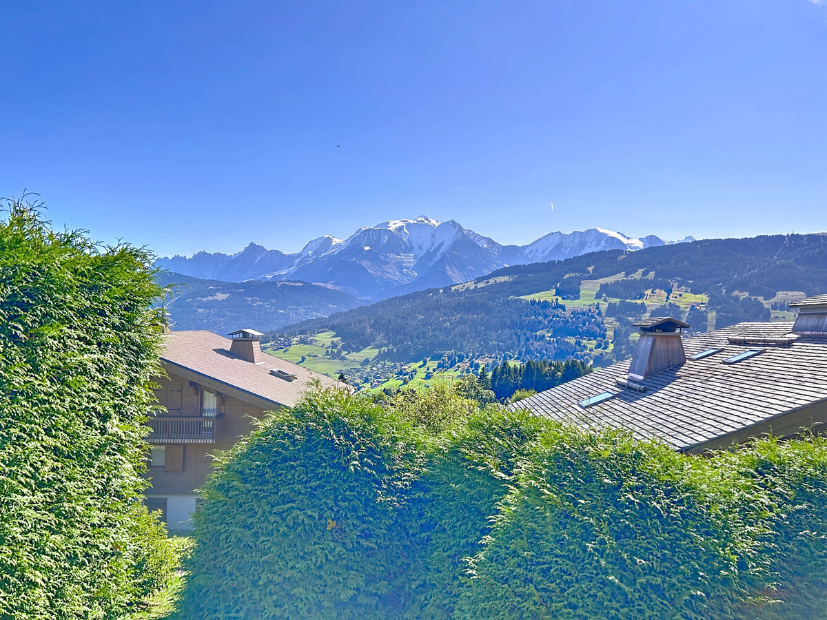 Appartement 2 pièces vue Mont Blanc, Combloux - Photo 11