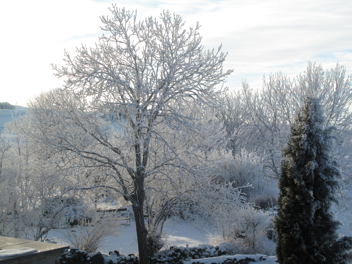 Gîte la Béraine à Saint-Bérain, ferme rénovée avec poêle à bois - Photo 23