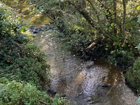 Grande Maison avec Piscine Chauffée à Bois Bertrand - Photo 32
