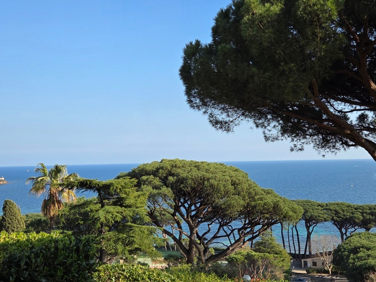 Appartement 2 pièces climatisé, vue golfe de Saint-Tropez - Photo 1