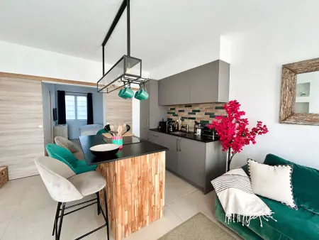 Appartement rénové avec terrasse et accès plage - Port Grimaud : photo 6