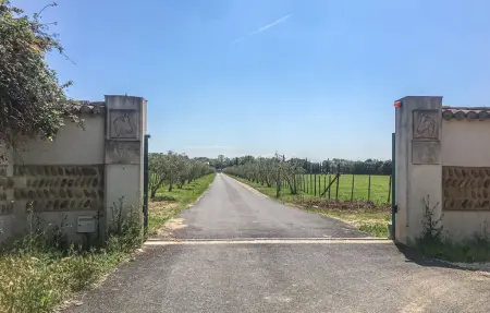 Gîte dans Mas proche Alpilles, Maison 4 personnes à Saint Martin de Crau - Photo 25