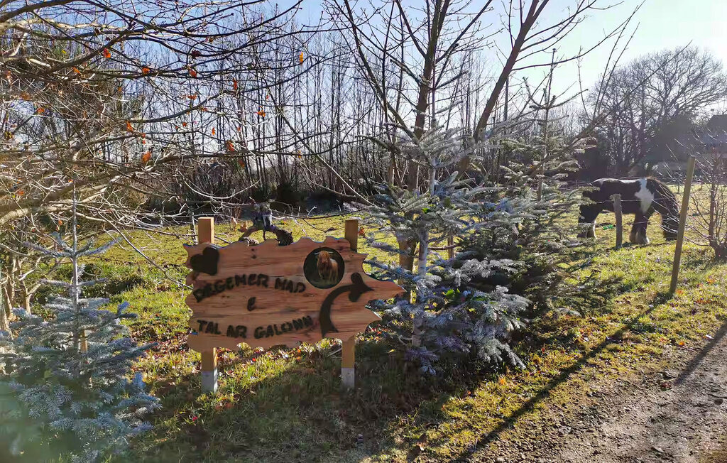Kota – Maison intimiste au bord de l'étang - Photo 5