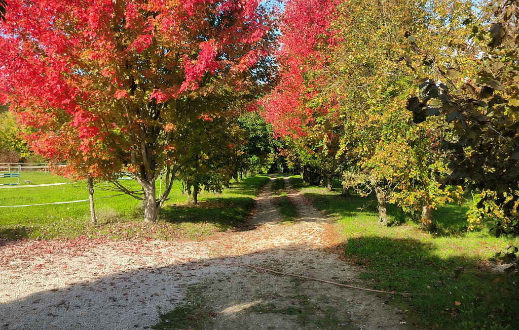 Kota – Maison intimiste au bord de l'étang - Photo 7