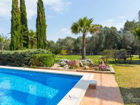Villa majorquine 4 chambres avec piscine à Sencelles : photo 3