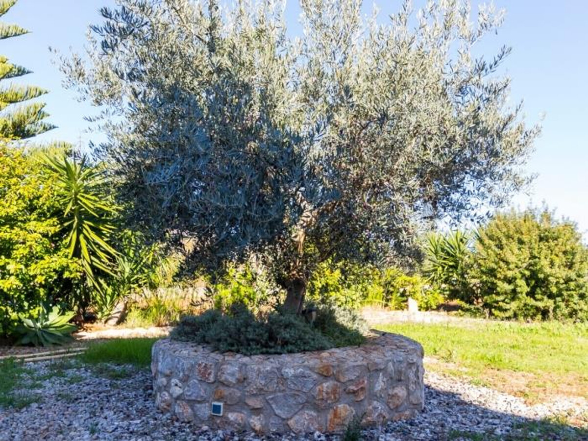 Villa rustique Campanet avec piscine et vue Serra Tramuntana - Photo 10