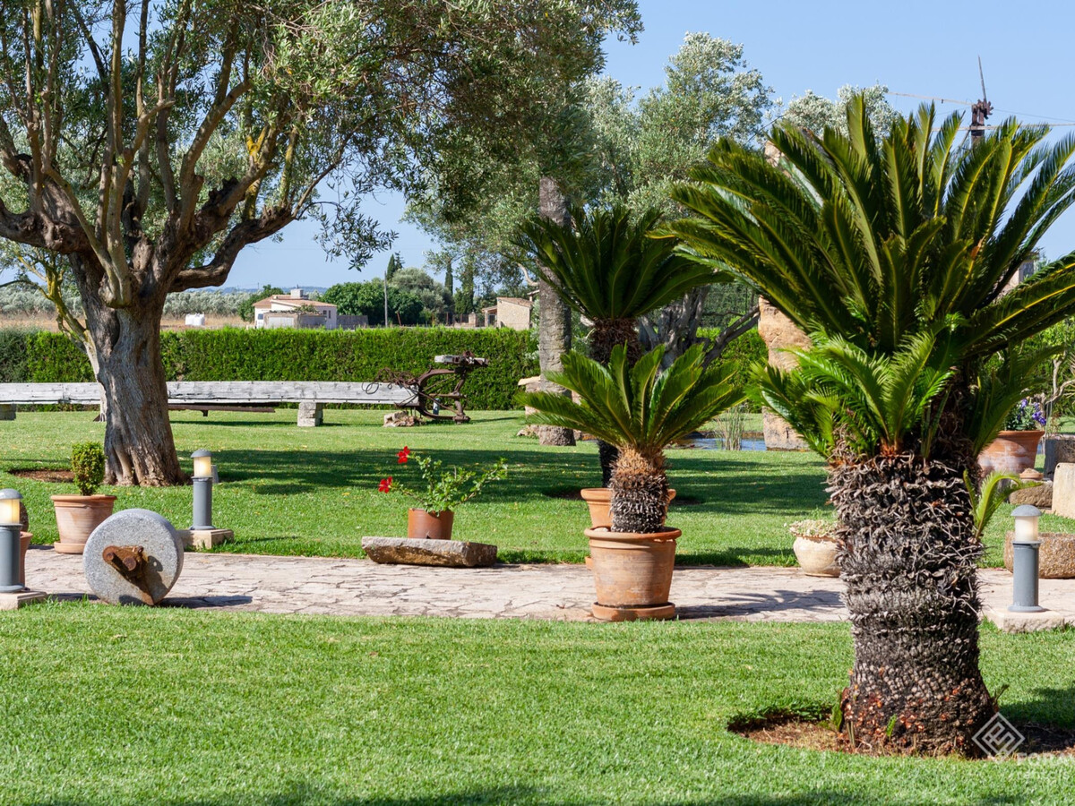 Finca avec moulin à vent, piscine et jardin à Sa Pobla - Photo 25