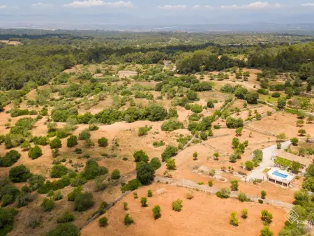 Villa rénovée avec piscine à Algaida, Majorque : photo 17