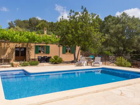 Villa rénovée avec piscine à Algaida, Majorque : photo 18