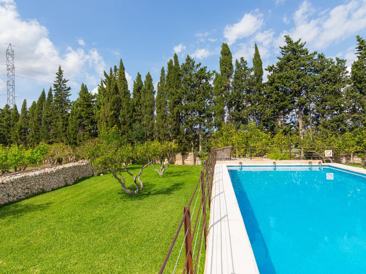 Sa Vinya des Compte : finca piscine à Maria de la Salut - Photo 3