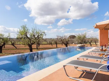 Villa spectaculaire avec piscine et jardin à Inca - Photo 8