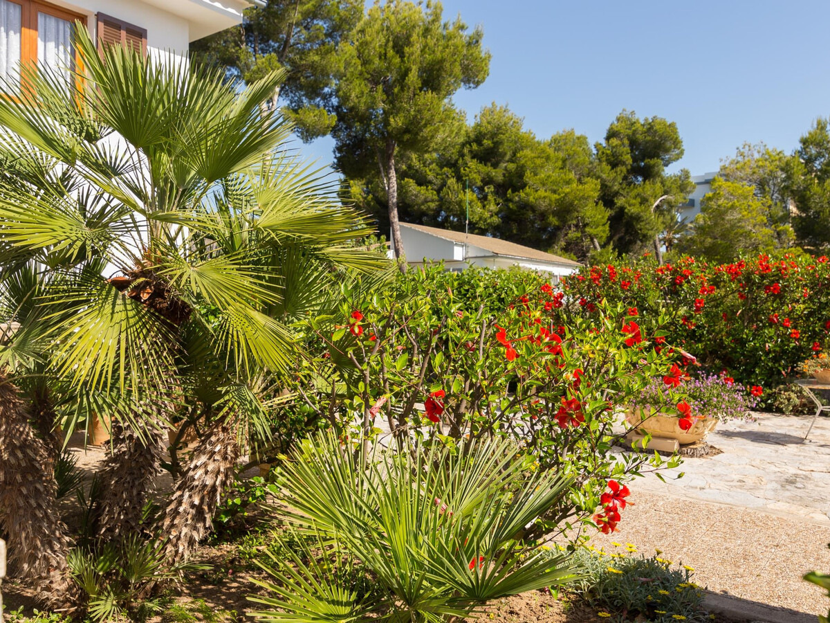 Grande villa 6 pers à Port d'Alcúdia, climatisée - Photo 22