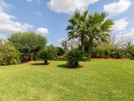 Villa rustique 8 pers. avec piscine à Binissalem : photo 24