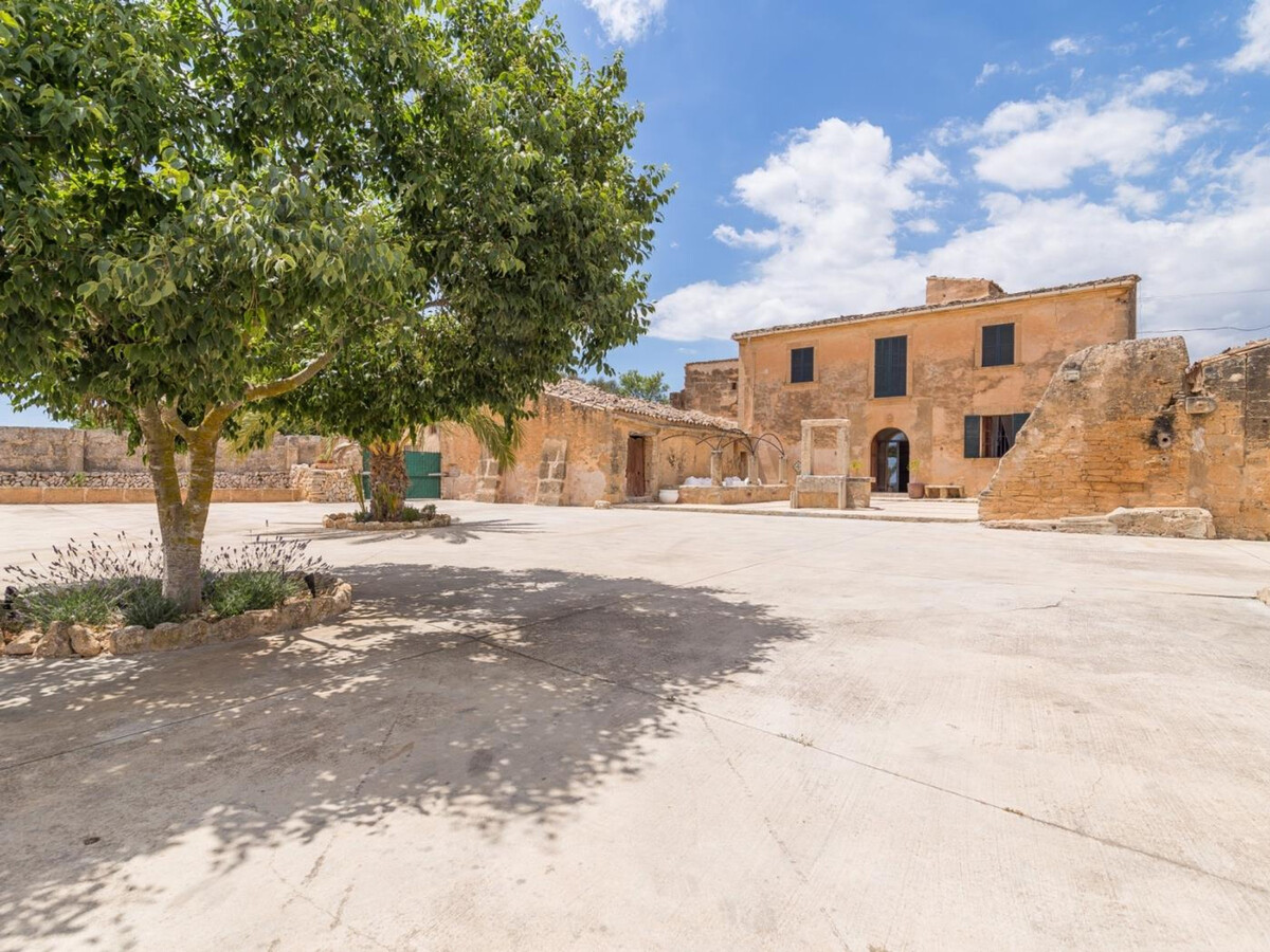 Finca Majorquine 1841 avec piscine 12×6m à Llucmajor - Photo 10