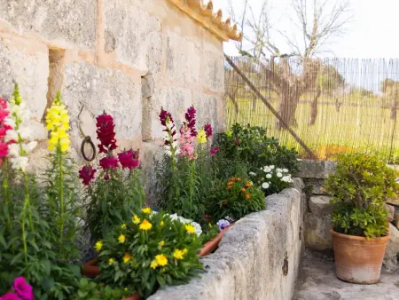 Magnifique villa rustique à Llubí avec piscine - Photo 17