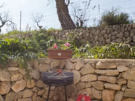 Magnifique villa rustique à Llubí avec piscine - Photo 19