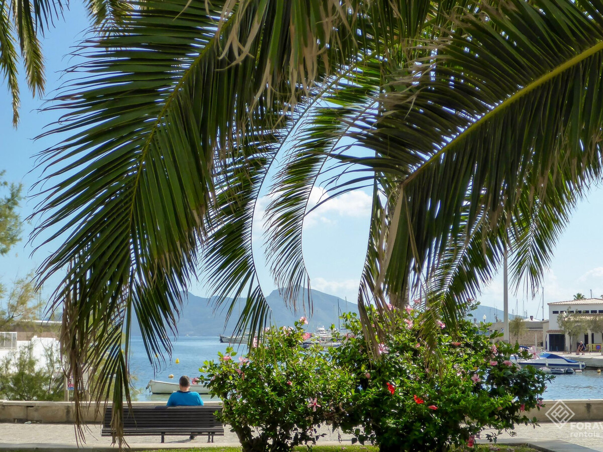 Appartement La Llimona, 100m de la plage à Pollença - Photo 20
