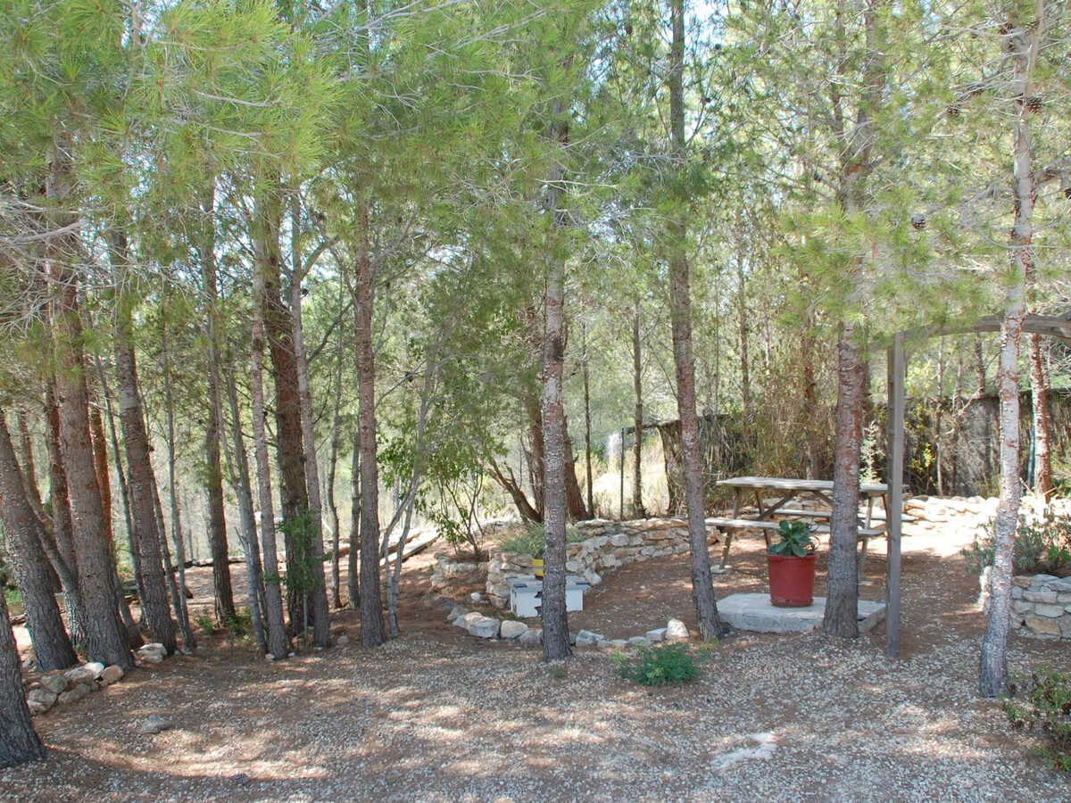 Villa ST JORDI à Sant Jordi : piscine privée et cuisine d'été - Photo 7